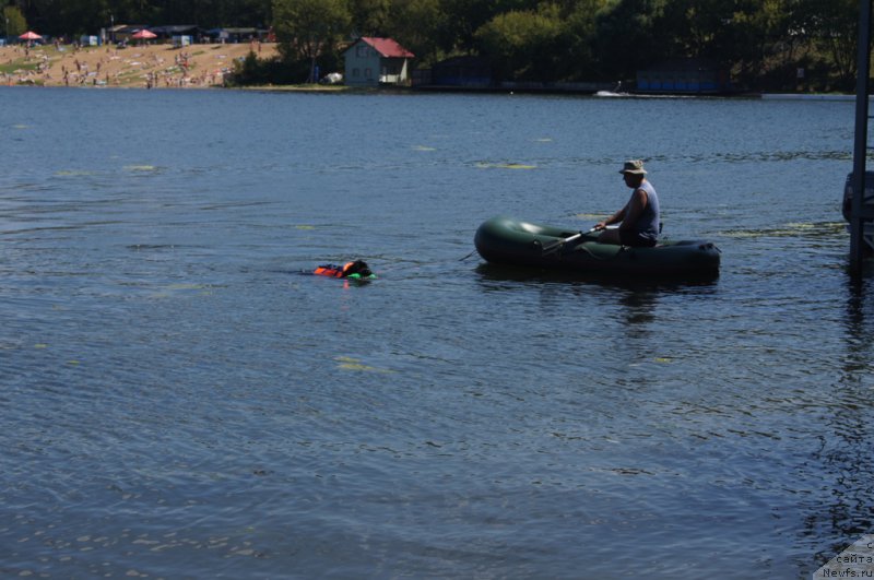 Фотография № 188973