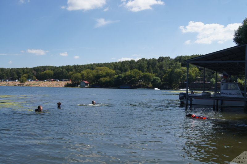 Фотография № 188976