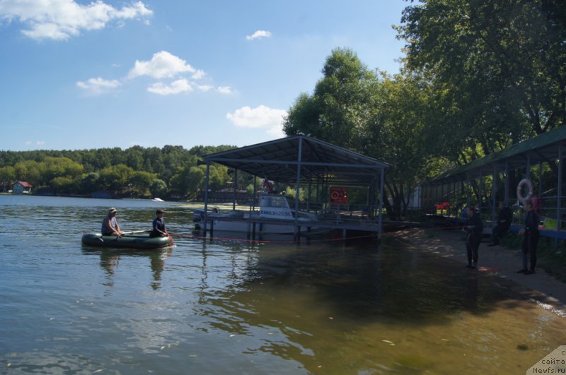 Фотография № 188979