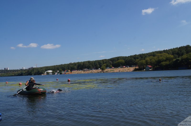 Фотография № 188981