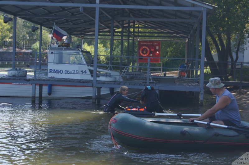 Фотография № 188984