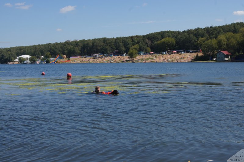 Фотография № 188986