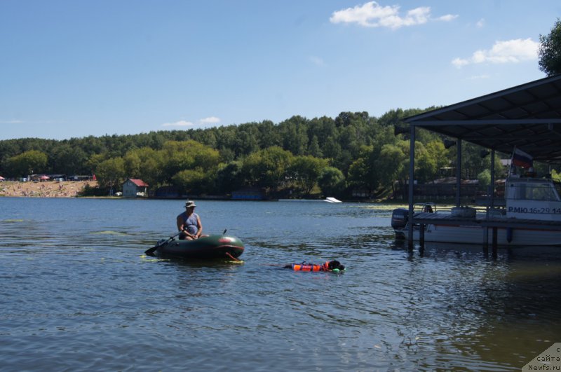 Фотография № 188988