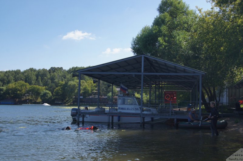 Фотография № 188991