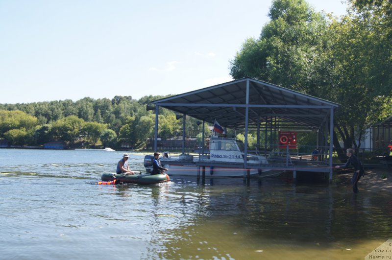 Фотография № 188995