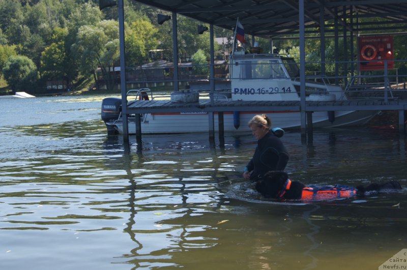 Фотография № 189001