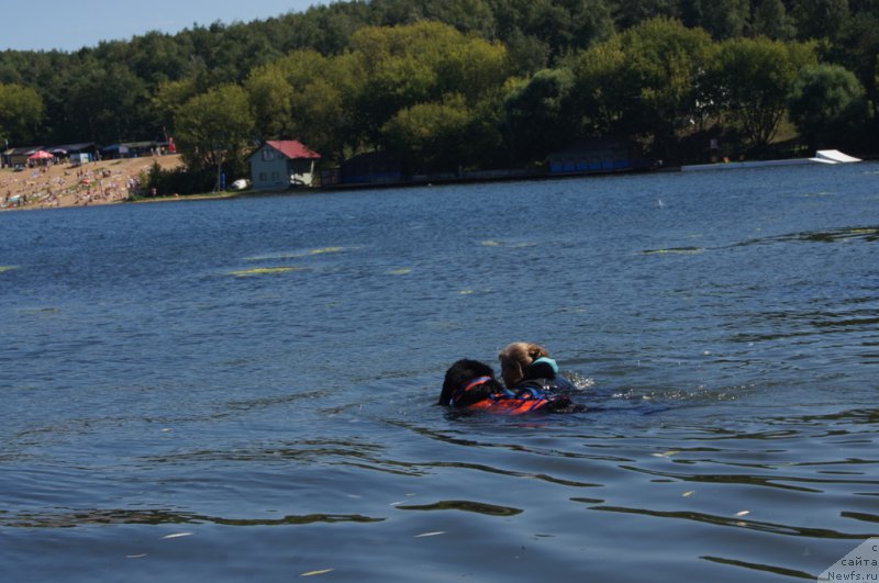 Фотография № 189002