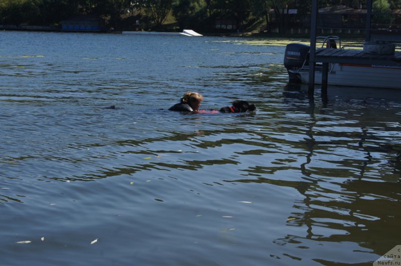 Фотография № 189004