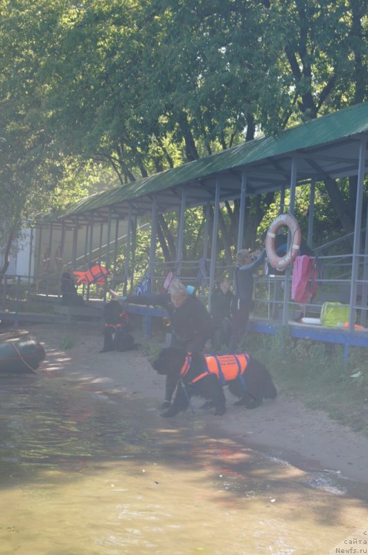 Фотография № 189007