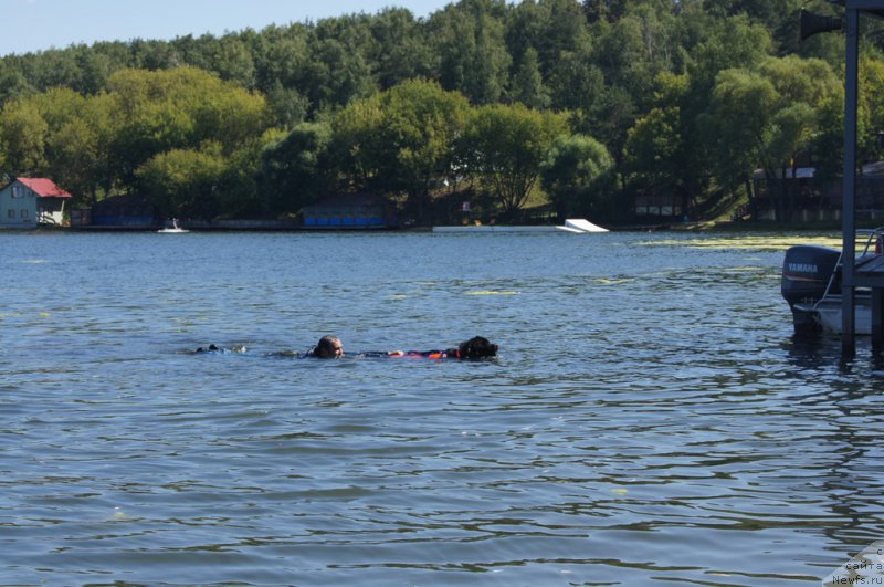 Фотография № 189008