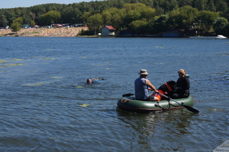 Фотография № 189010