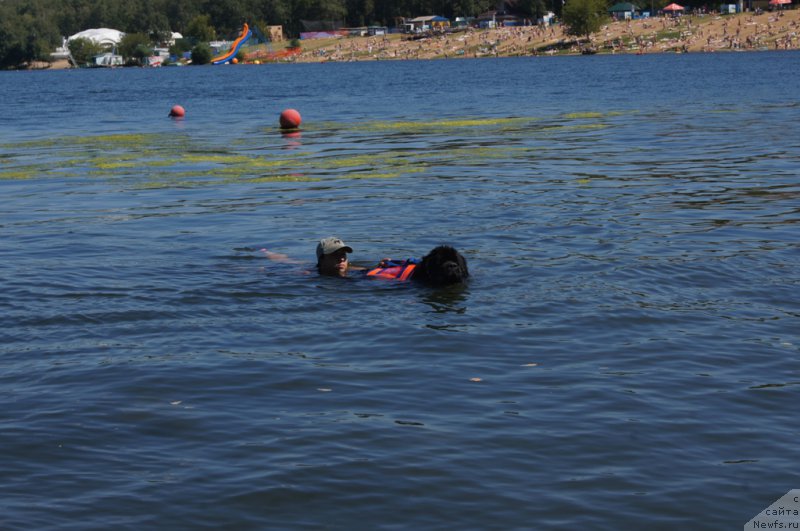 Фотография № 189014