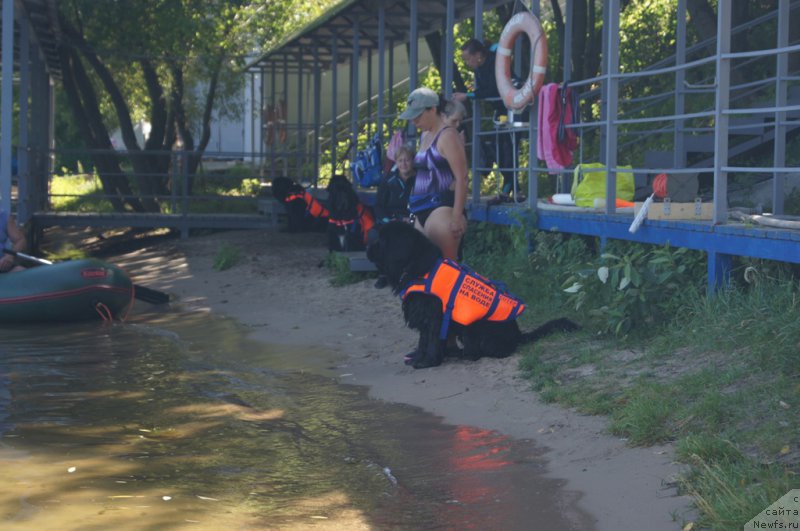 Фотография № 189018