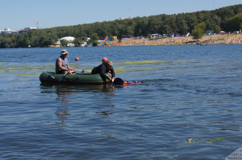 Фотография № 189021