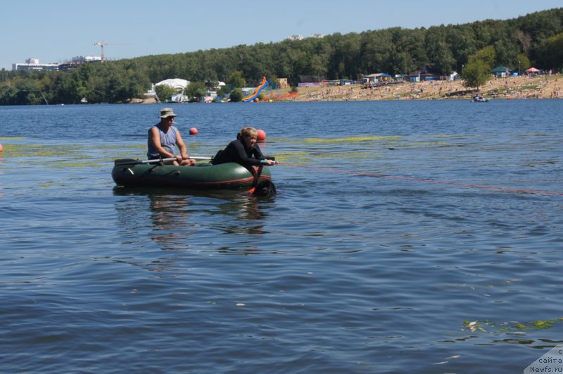 Фотография № 189022