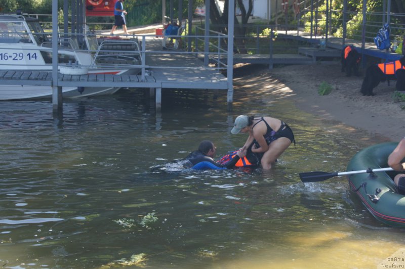 Фотография № 189027