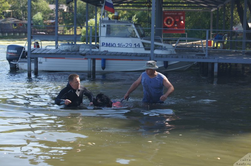 Фотография № 189028