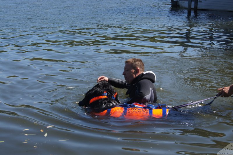 Фотография № 189030