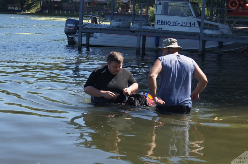 Фотография № 189032