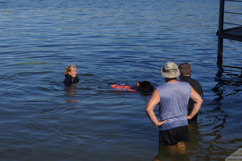 Фотография № 189035