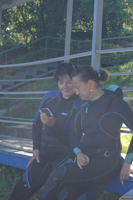 Фотография № 189041