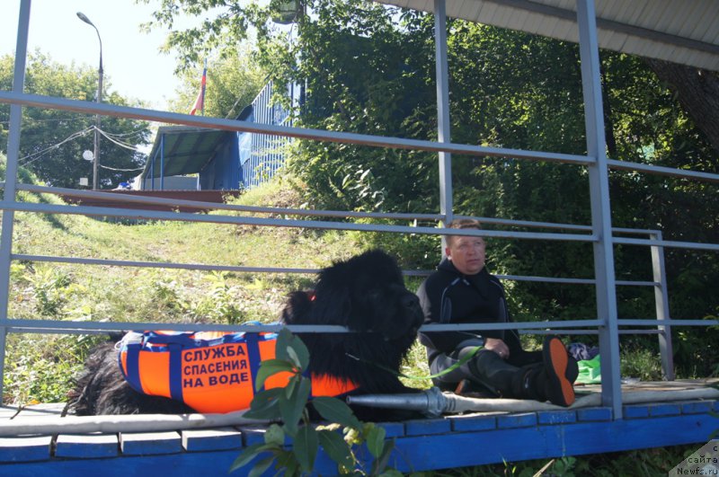 Фотография № 189043