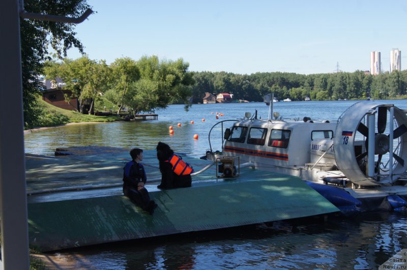 Фотография № 189045