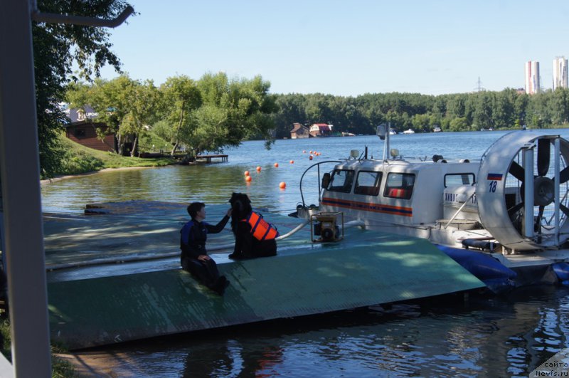 Фотография № 189046