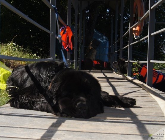 Фотография № 189047