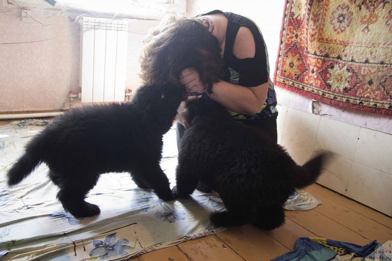 Фото: YUliya Ruzinskaya (Юлия Рузинская)