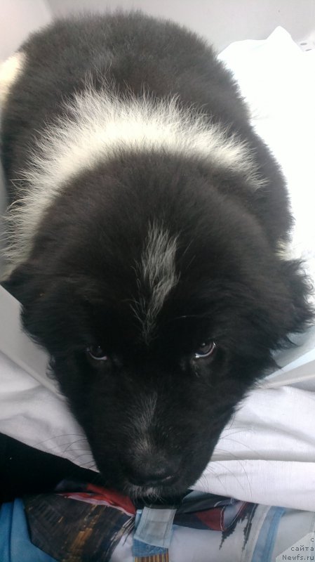 Фото: Бруней