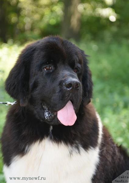 Фотография № 189075