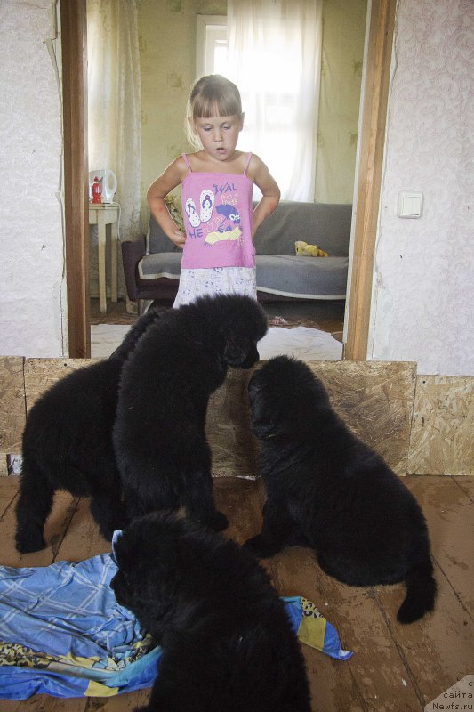 Фото: Ульяна