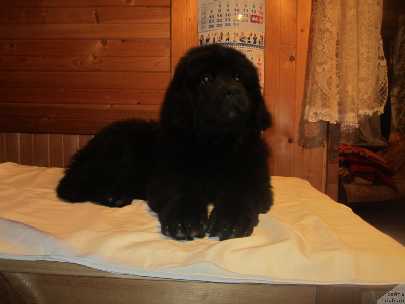 Фото: Natal'ya Smazchikova (Наталья Смазчикова)