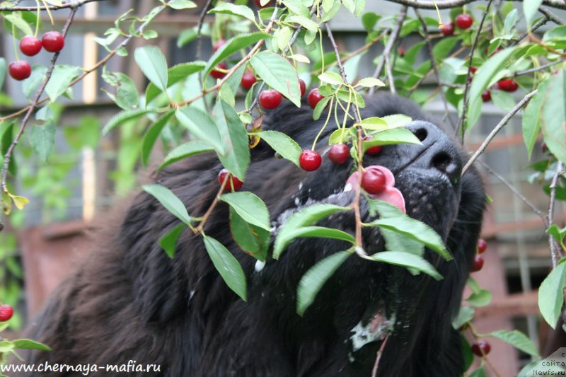 Фотография № 189105