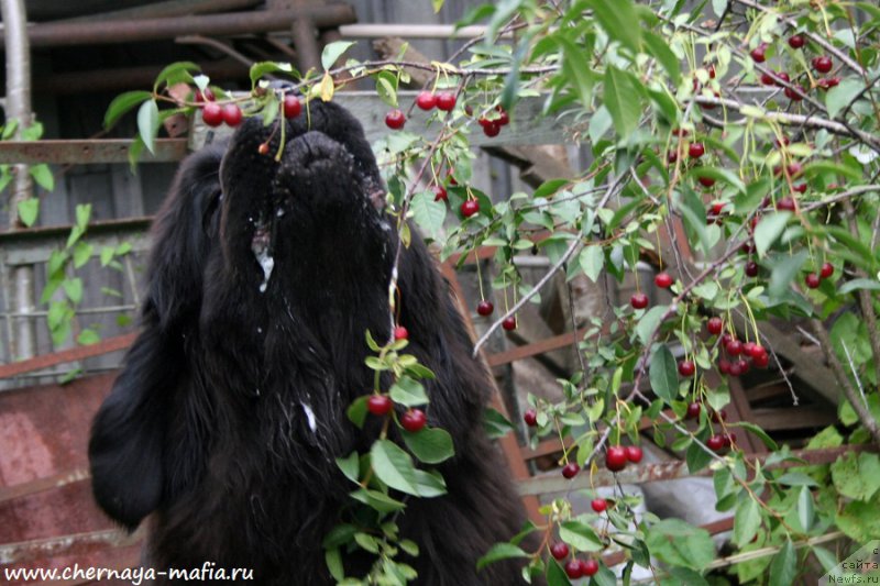 Фотография № 189106