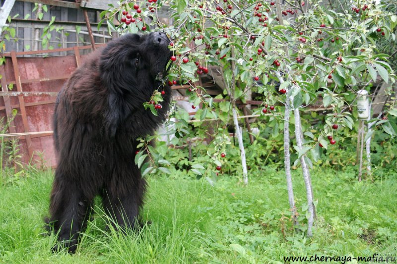 Фотография № 189107