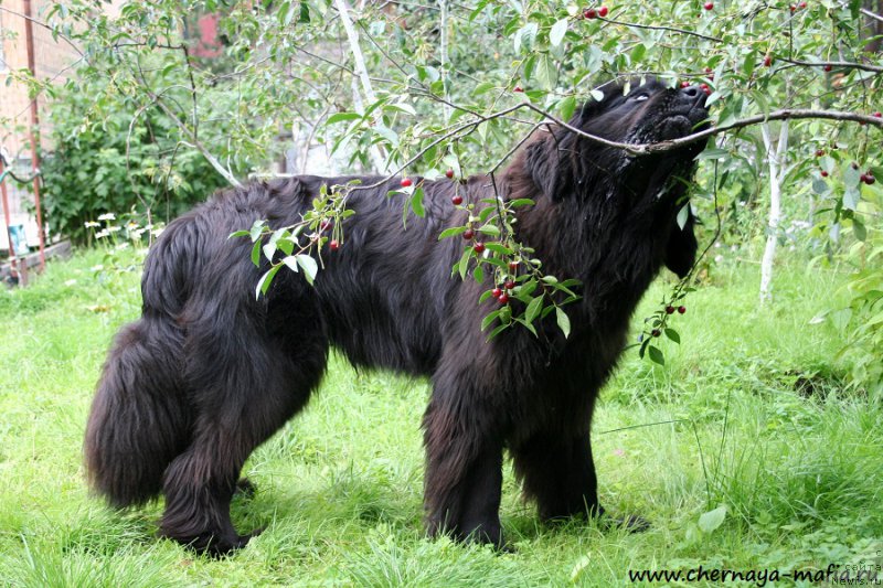 Фотография № 189111