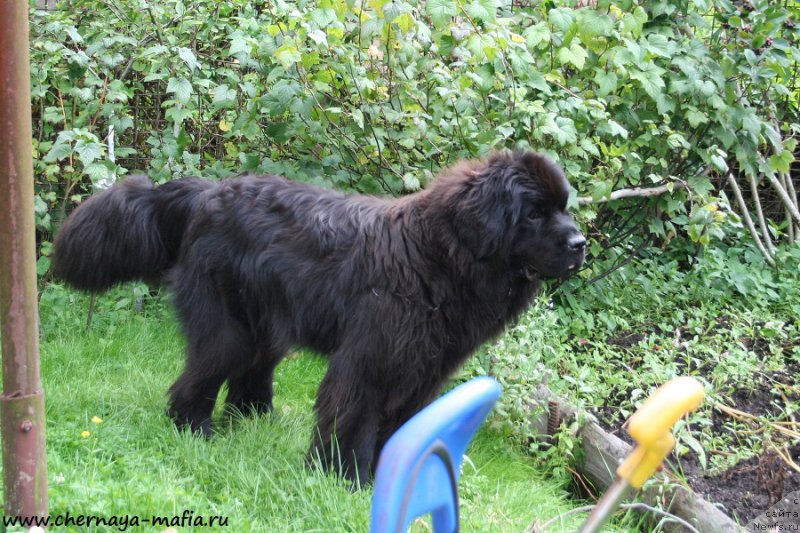 Фотография № 189113