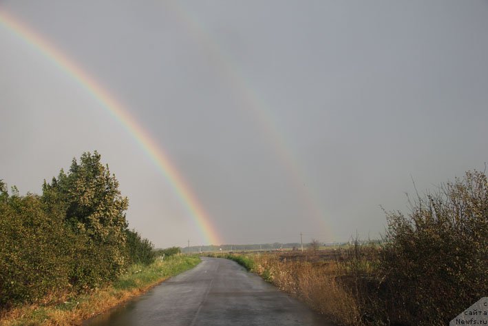 Фотография № 189120