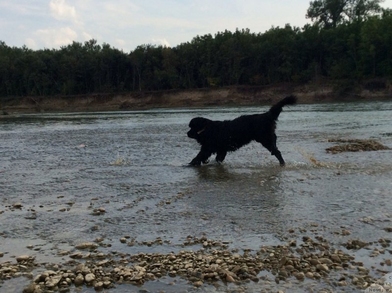 Фотография № 189169