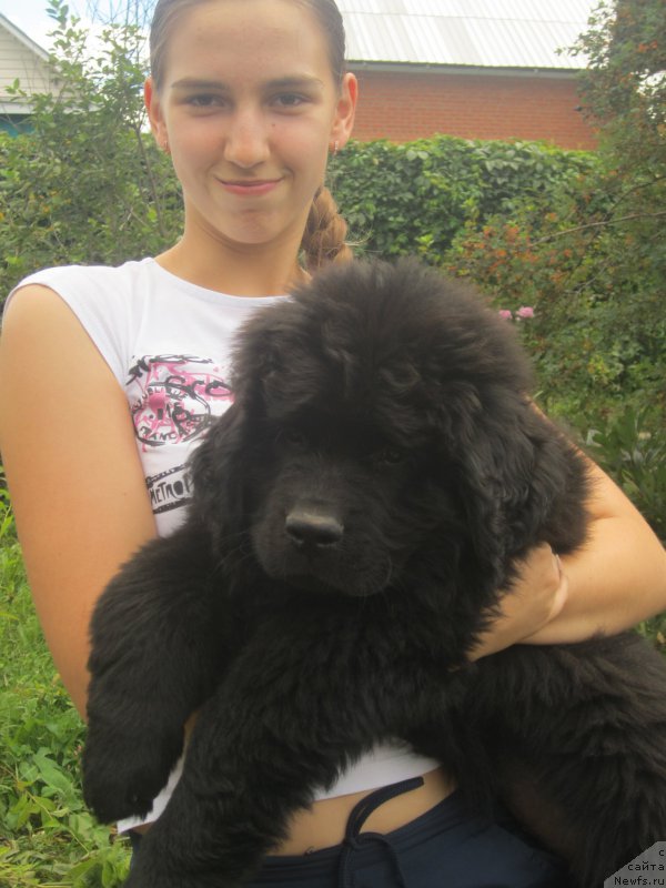 Фото: Natal'ya Smazchikova (Наталья Смазчикова)