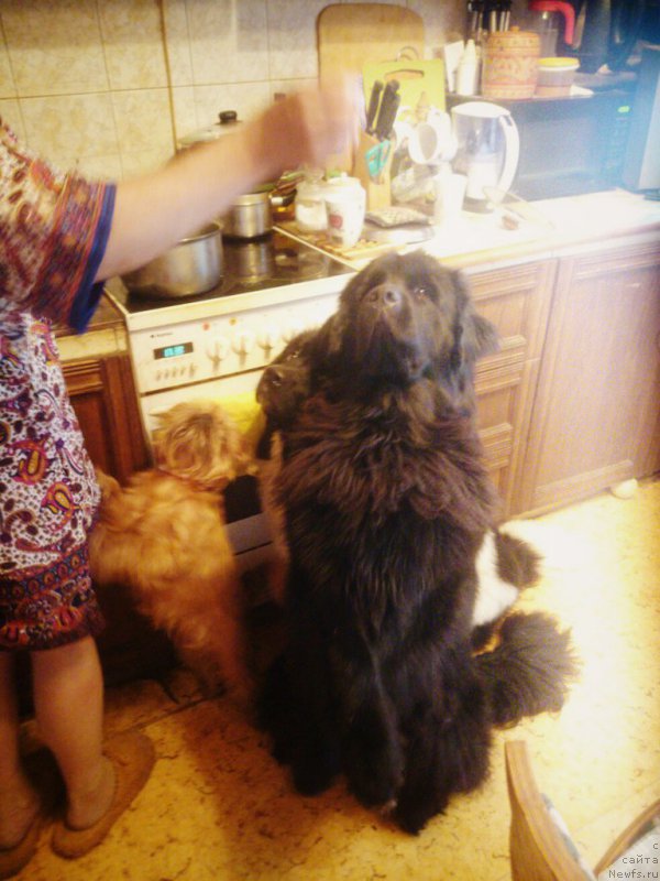 Фотография № 189201