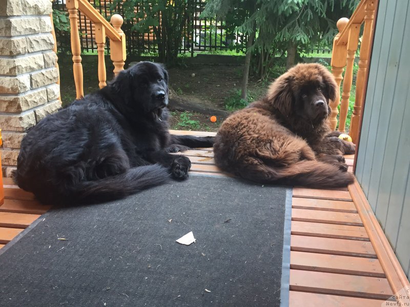 Фотография № 189220