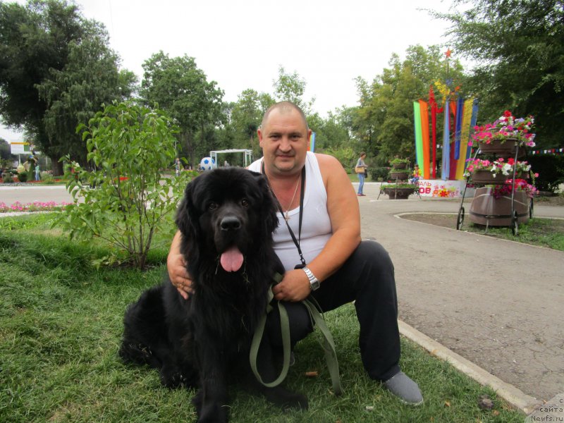 Фото: ньюфаундленд Prometey Gromyich (Прометей Громыч)