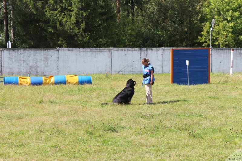 Фотография № 189233