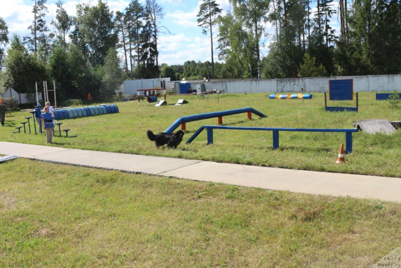 Фотография № 189234