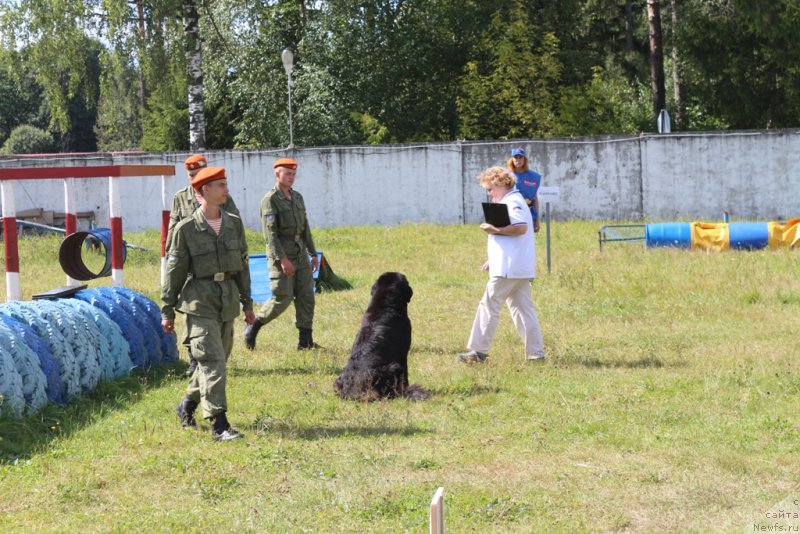 Фотография № 189237