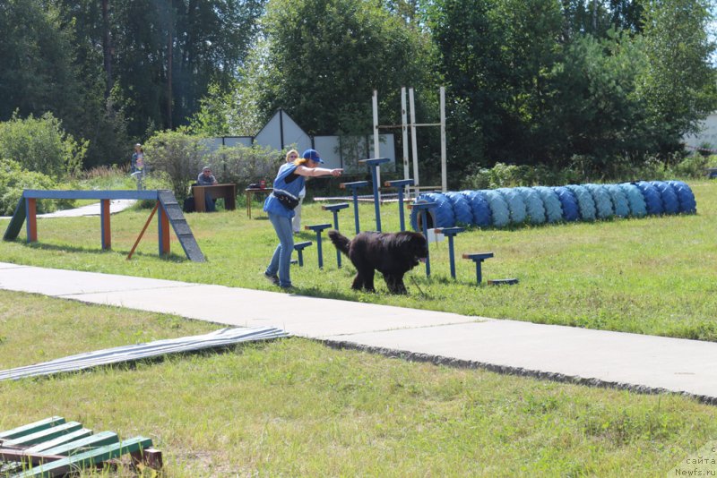 Фотография № 189239