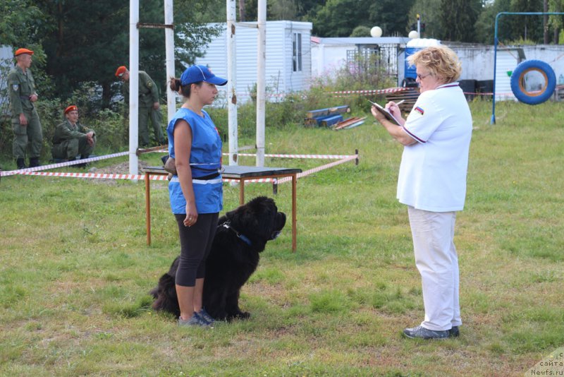 Фотография № 189241